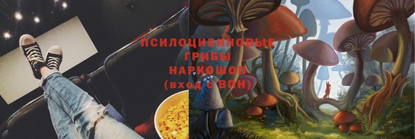 гашик Заволжск