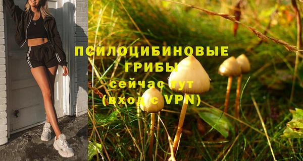соль ск Заводоуковск