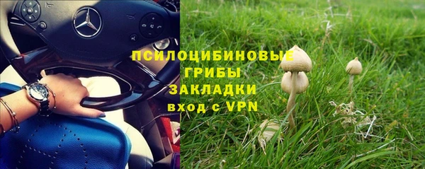 гашик Заволжск